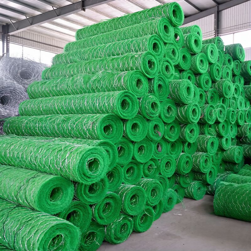 product-800-800 product-800-800